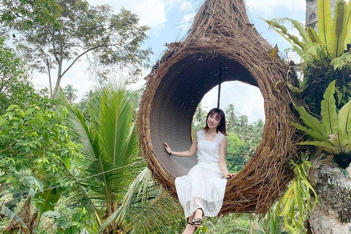 ウブドのベストスポット：滝、棚田、モンキーフォレスト＆寺院