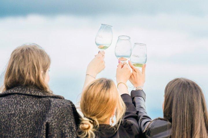 Degustação de vinhos clássicos na Rua de Santa Cristina
