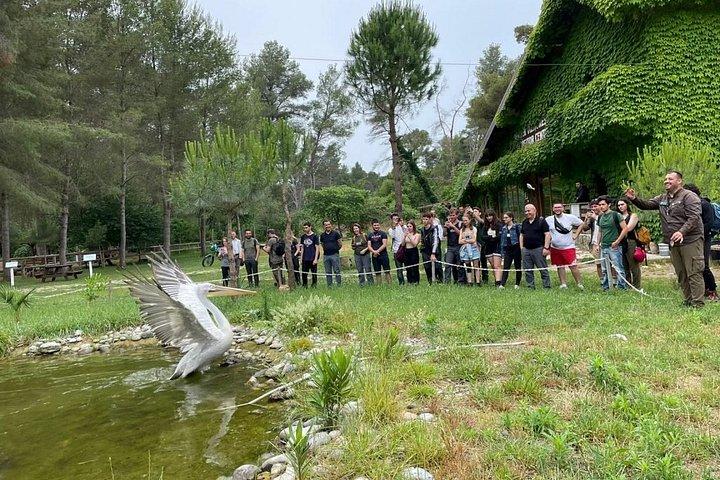 Apollonia & Karavasta Lagoon Full-Day Private Tour