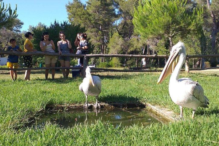 Apollonia & Karavasta Lagoon Full-Day Private Tour