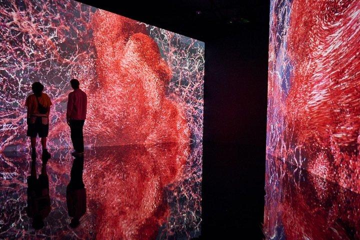 E-Ticket für den Eintritt zum Singapore ArtScience Museum