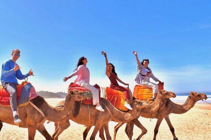 キャメルライド付きベスト・オブ・タンジェツアー–クルーズ小旅行
