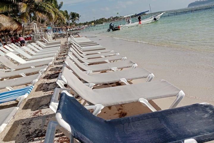 コスタマヤビーチクラブへの小旅行（マハウアルへの送迎付き）