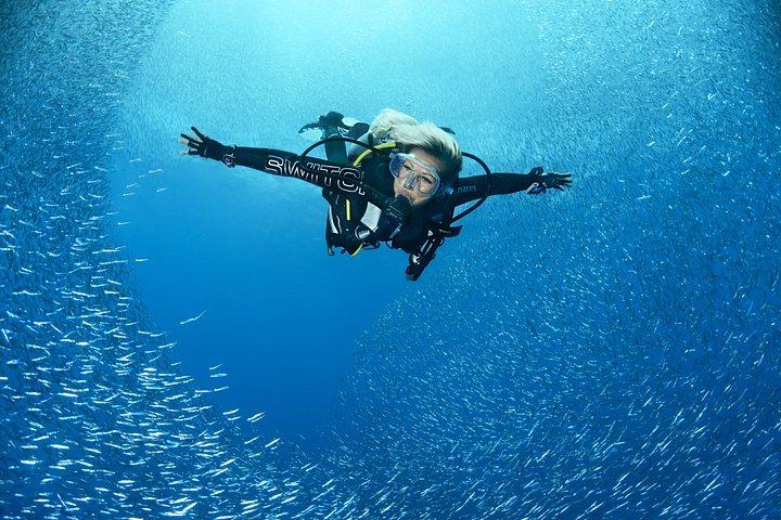 Mallorca: Scuba Diver Course in 1 Day