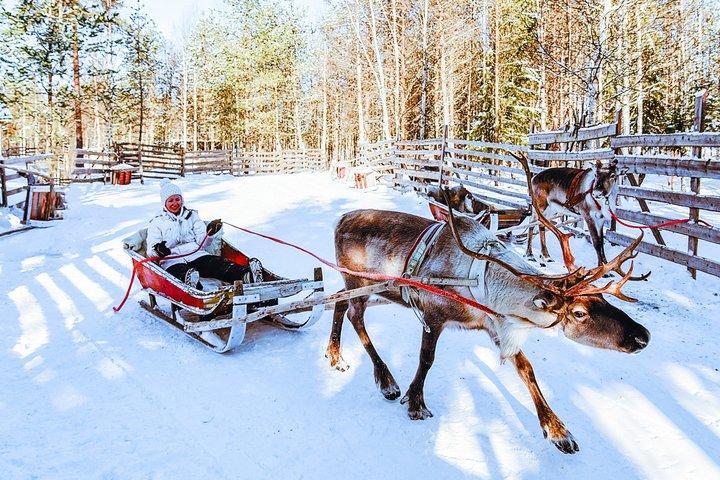 Reindeer Ride Husky Meet and Greet with Santa Claus Village