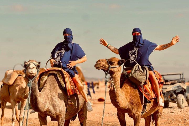 Marrakech Camel Ride in Palm Grove Palmeraie with Hotel Pickup
