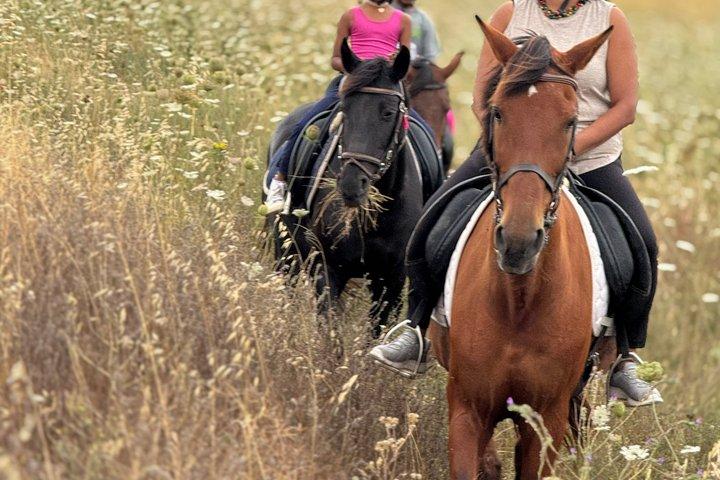 Équitation à Évora