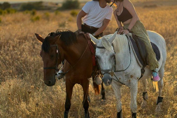 Équitation à Évora