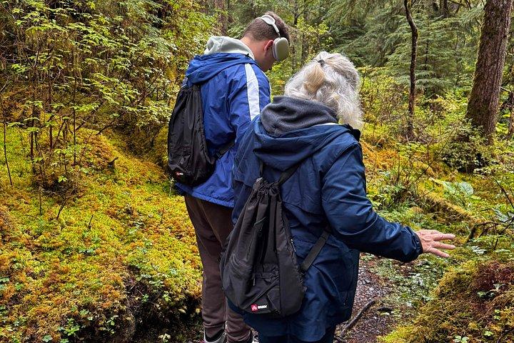 Small-Group Rainforest Hiking Adventure- Ketchikan Excursion