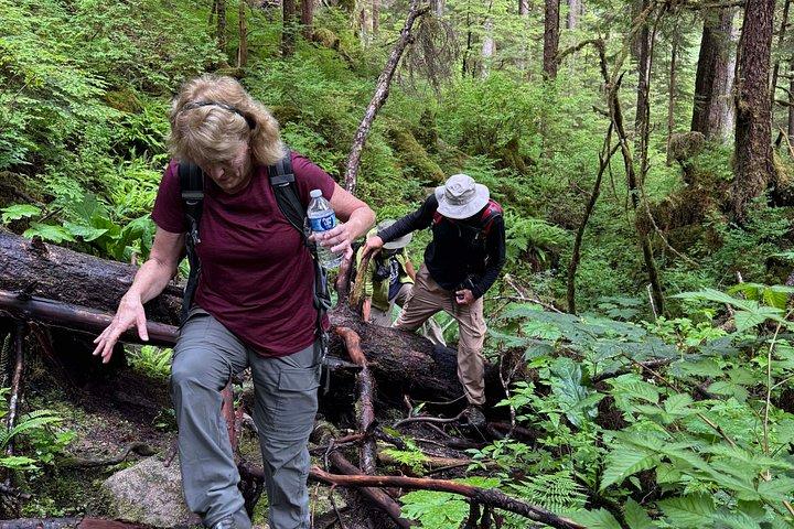 Small-Group Rainforest Hiking Adventure- Ketchikan Excursion