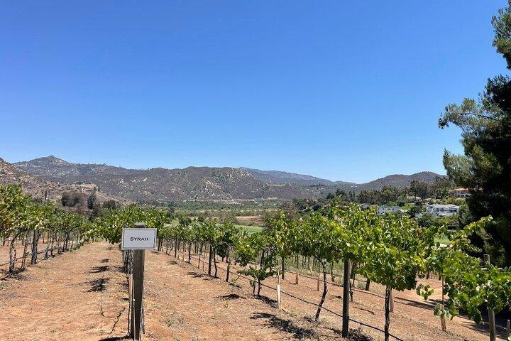 Wine Tour Private San Diego County