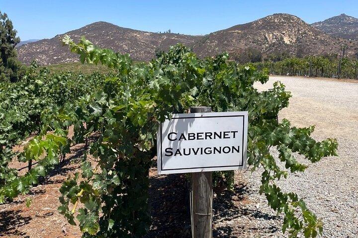 Wine Tour Private San Diego County