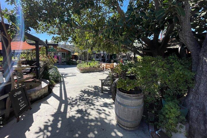 Wine Tour Private San Diego County