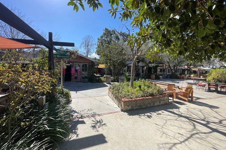 Wine Tour Private San Diego County