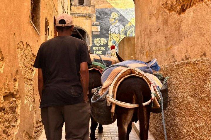Privat Fes Medina Walking Tour med Local Guide och dolda pärlor