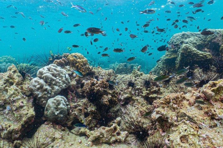 パタヤ・ジェットスキー島シュノーケリング半日ツアー