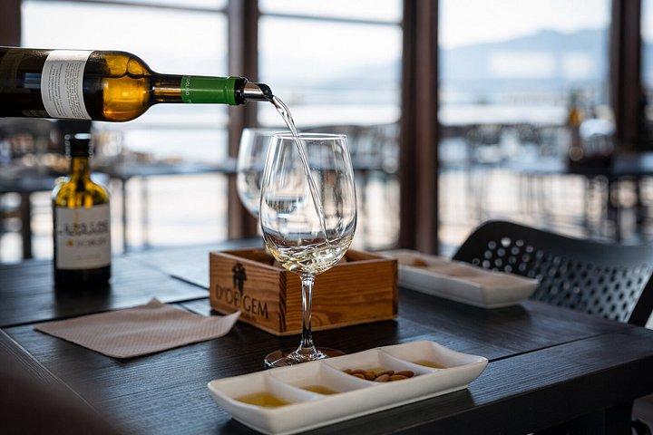 Excursão em grupo pequeno do Vale do Douro: 2 vinícolas, almoço e cruzeiro no rio