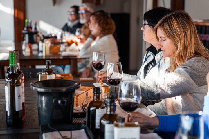 Visite de la vallée du Douro en petit groupe : 2 vignobles, déjeuner et croisière fluviale