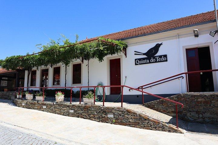 Excursão em grupo pequeno do Vale do Douro: 2 vinícolas, almoço e cruzeiro no rio