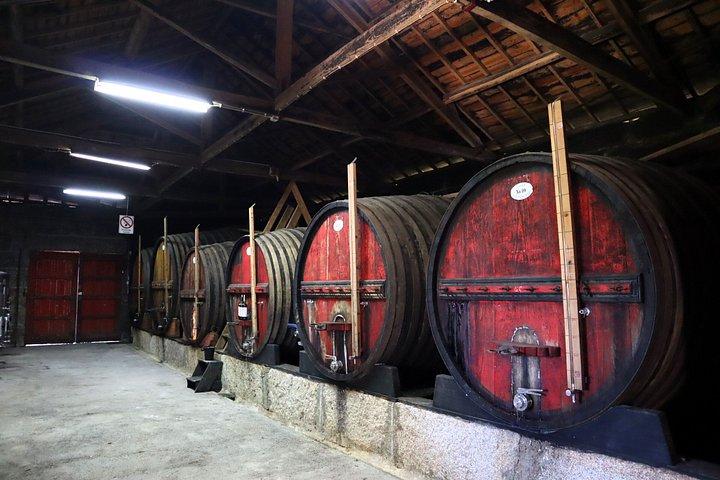 Excursão em grupo pequeno do Vale do Douro: 2 vinícolas, almoço e cruzeiro no rio