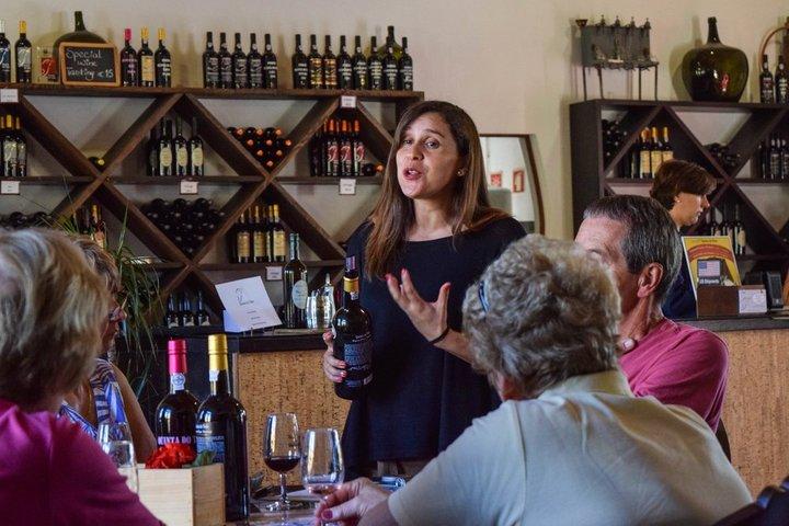 Visite de la vallée du Douro en petit groupe : 2 vignobles, déjeuner et croisière fluviale