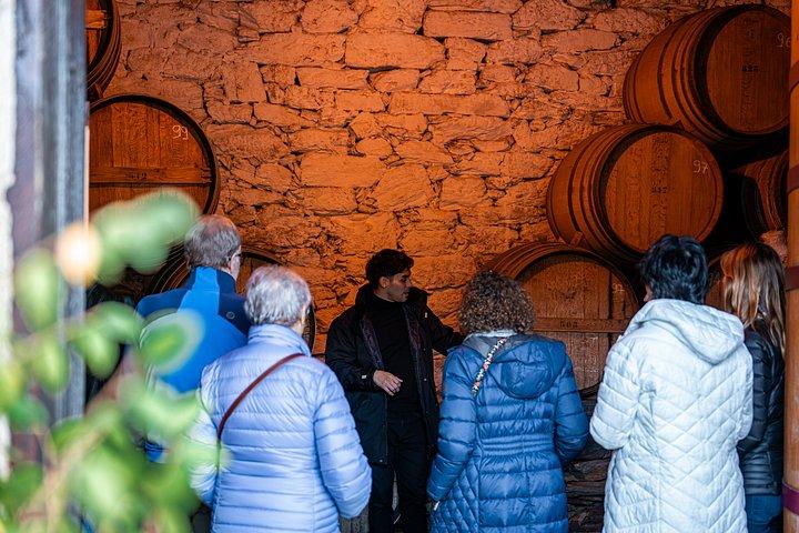 Excursão em grupo pequeno do Vale do Douro: 2 vinícolas, almoço e cruzeiro no rio