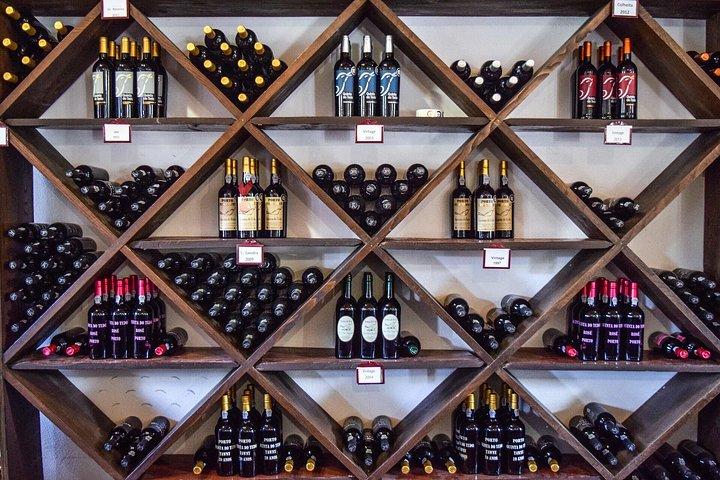 Excursão em grupo pequeno do Vale do Douro: 2 vinícolas, almoço e cruzeiro no rio