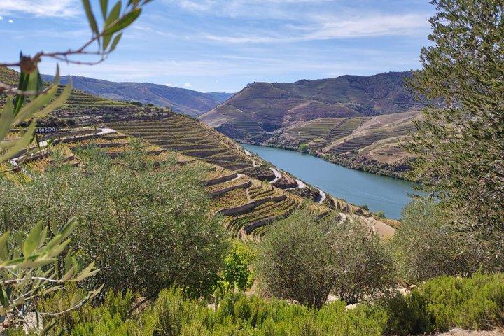 Visite de la vallée du Douro en petit groupe : 2 vignobles, déjeuner et croisière fluviale