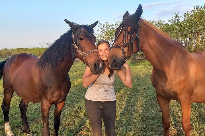 田舎でのプライベート乗馬と送迎付きランチ
