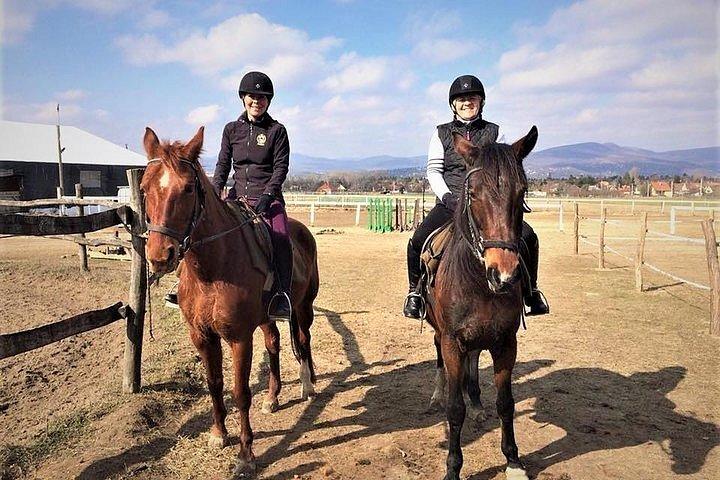 田舎でのプライベート乗馬と送迎付きランチ