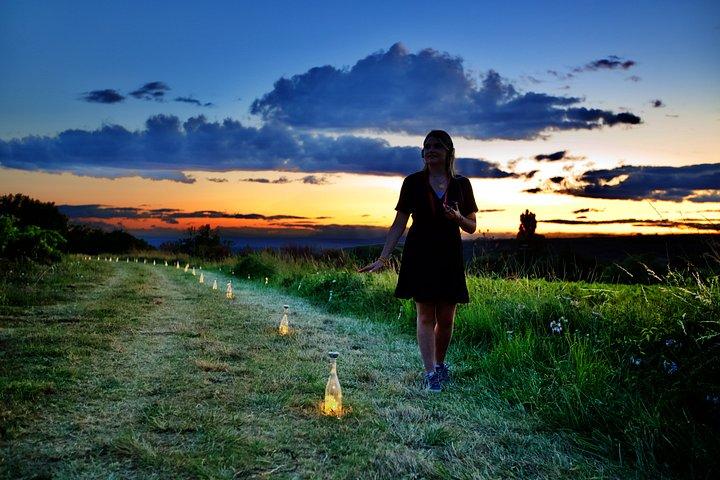 Between Vineyards and Night Lights Vineyard Adventure