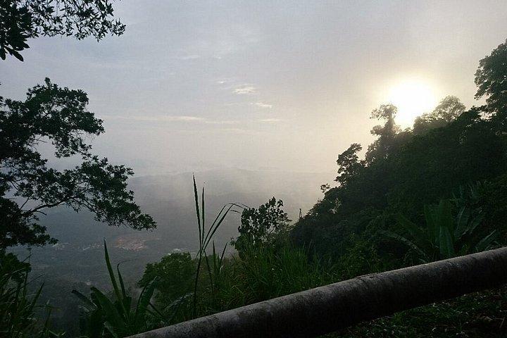 JungleWalla Langkawi Rainforest Afterdark