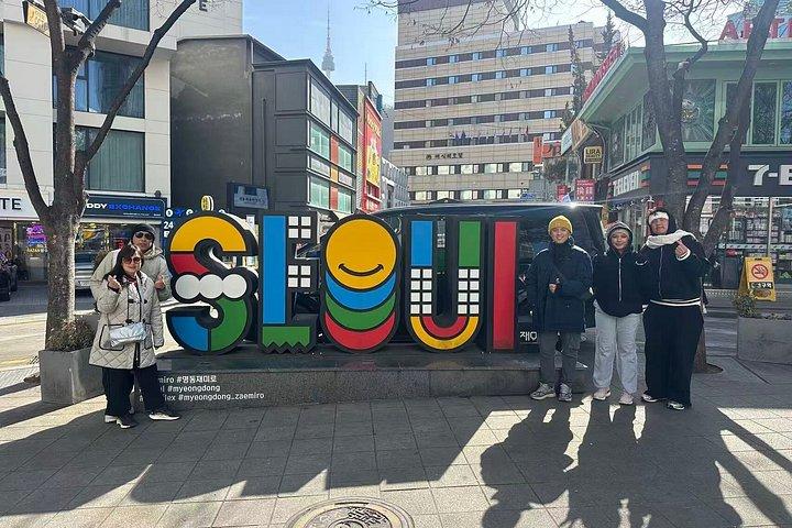 Seoul Private Shore udflugt fra Incheon havn med lokal guide