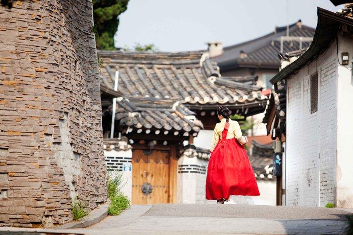 Seoul Private Shore udflugt fra Incheon havn med lokal guide