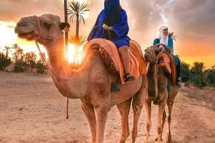Excursion 1 buggy hour and 1 camel hour