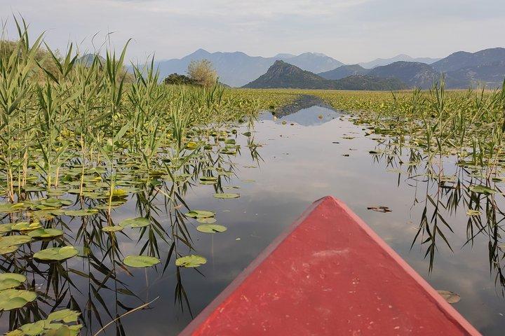 Visita guiada en barco por el Amazonas