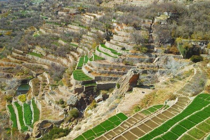 Privat transfer från Muscat Flygplats till Indigo Jebel Akhdar