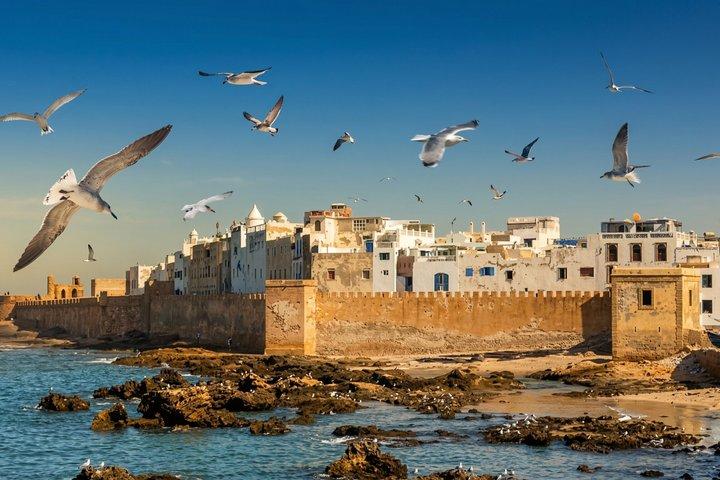 Essaouira & Sekkala Day Trip with Optional Lunch from Marrakech