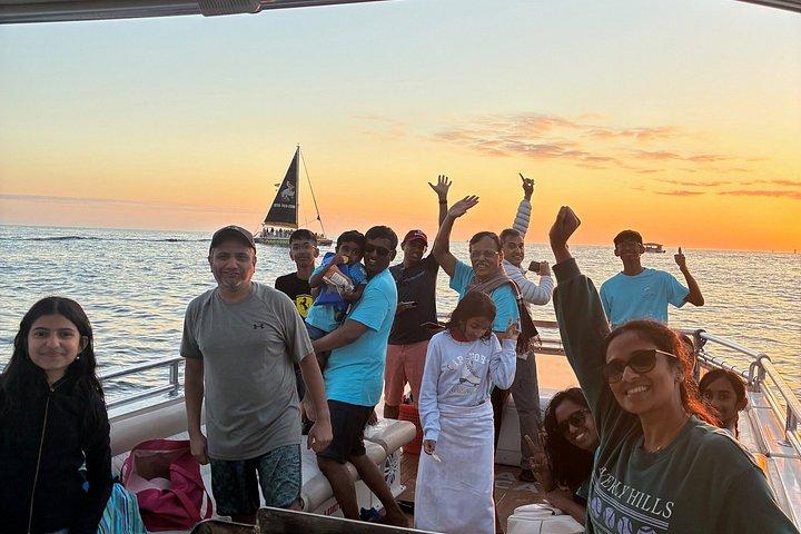 Shell Island Snorkeling e visita dei delfini
