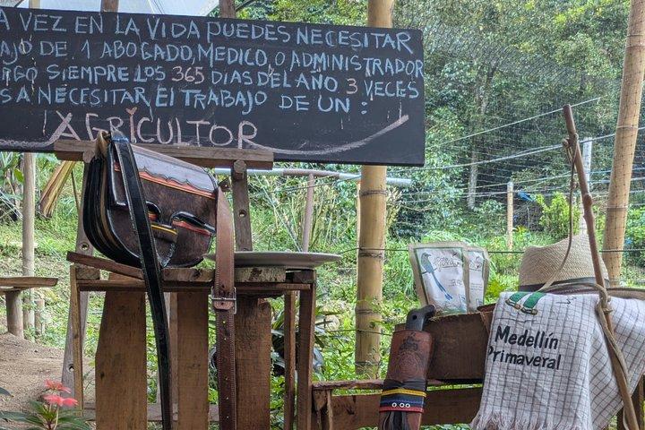 Excursion de café partagée à Medellin avec café gratuit