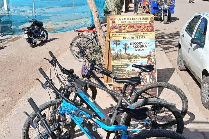 スクーラ・パームグローブでのガイド付きマウンテンバイクツアーと四輪バギーライド