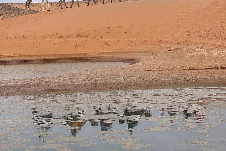 3 - ラクダ・トレックで行くマラケシュ・メルズーガ発サハラ砂漠日帰りツアー
