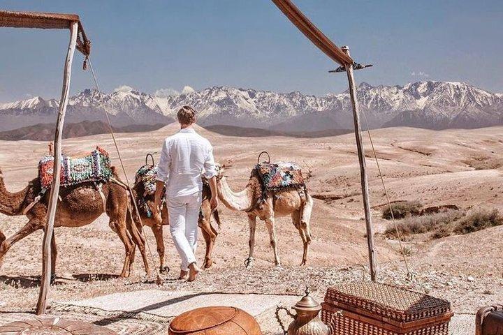 Marrakech: Dinner Wow Sunset Camel ride in Agafay
