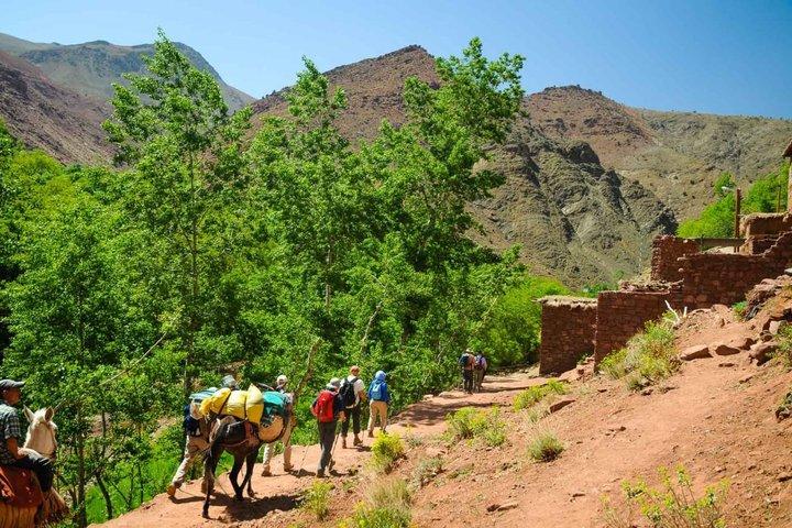 2 Days in the High Atlas: Conquering Tasghimout Summit (2660m)
