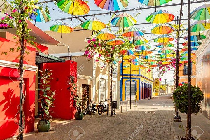 Discover Puerto Plata and enjoy the Monkees
