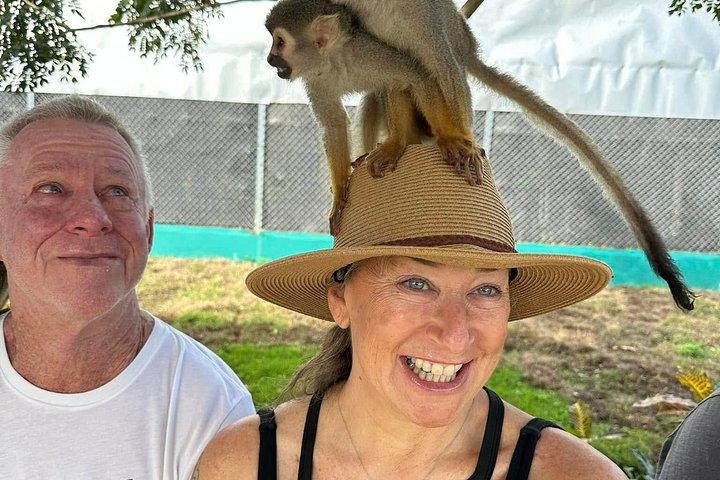 Discover Puerto Plata and enjoy the Monkees