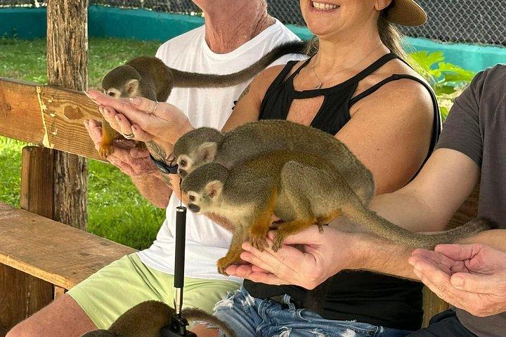 Discover Puerto Plata and enjoy the Monkees
