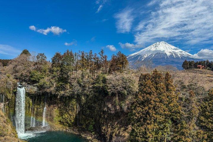Mt Fuji World Heritage Private Tour by Bullet Train and Car