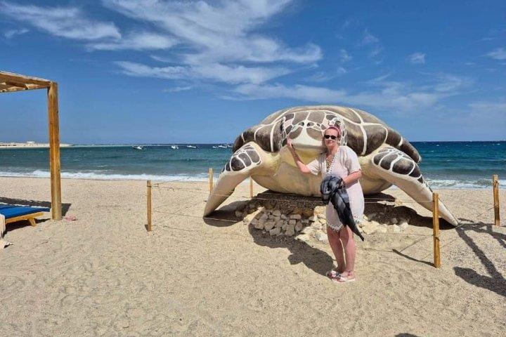 Abu Dabbab Ganztagesschnorcheln mit Schildkröten & Dugong – Hurghada