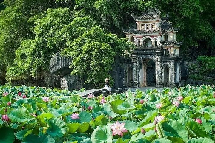 プライベートニンビンビチドンタムコックムア洞窟サイクリング日帰り旅行